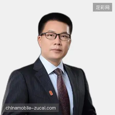 赵晨
